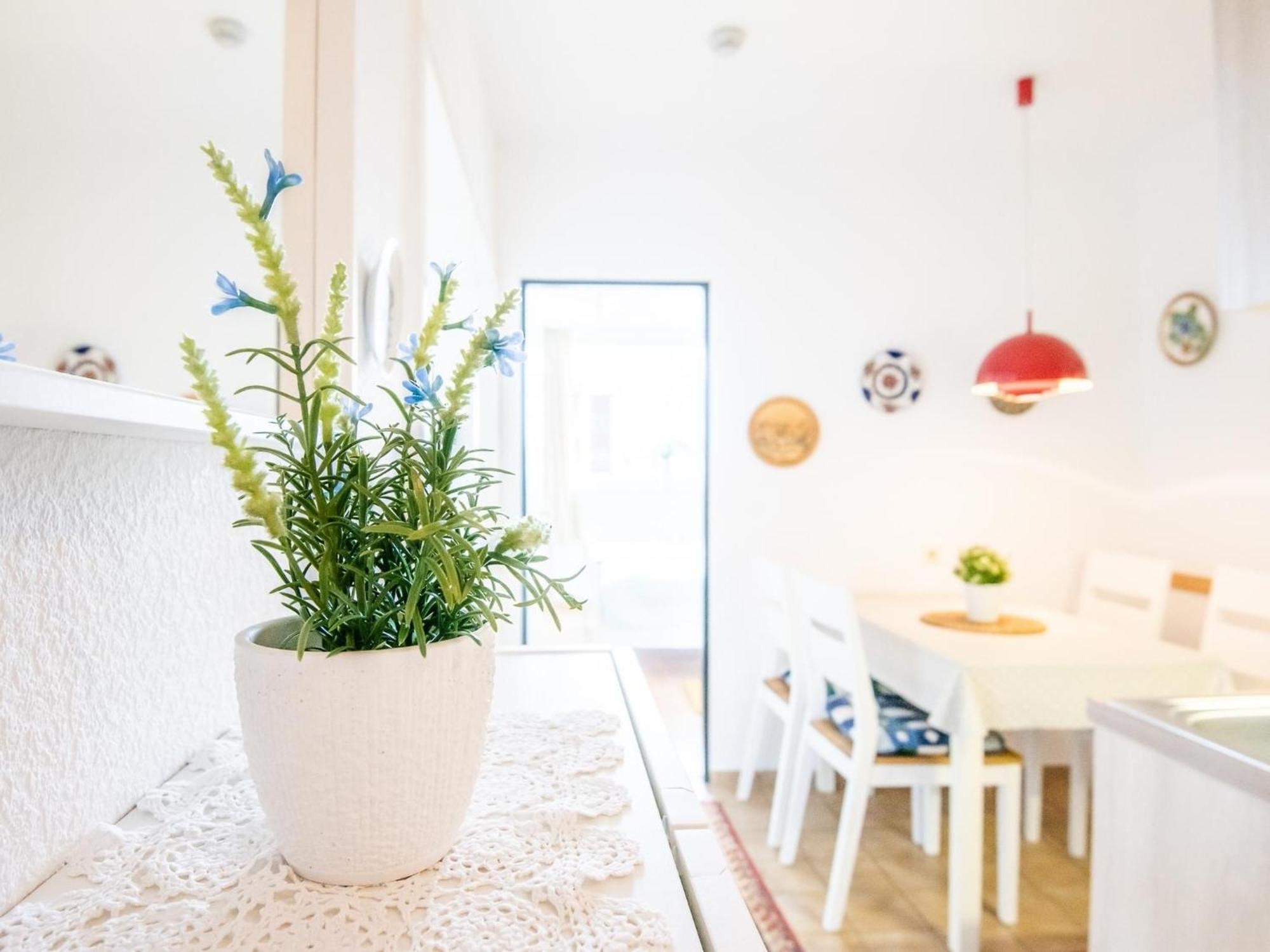 Haus Meeresblick Wohnung 24 Kellenhusen Εξωτερικό φωτογραφία